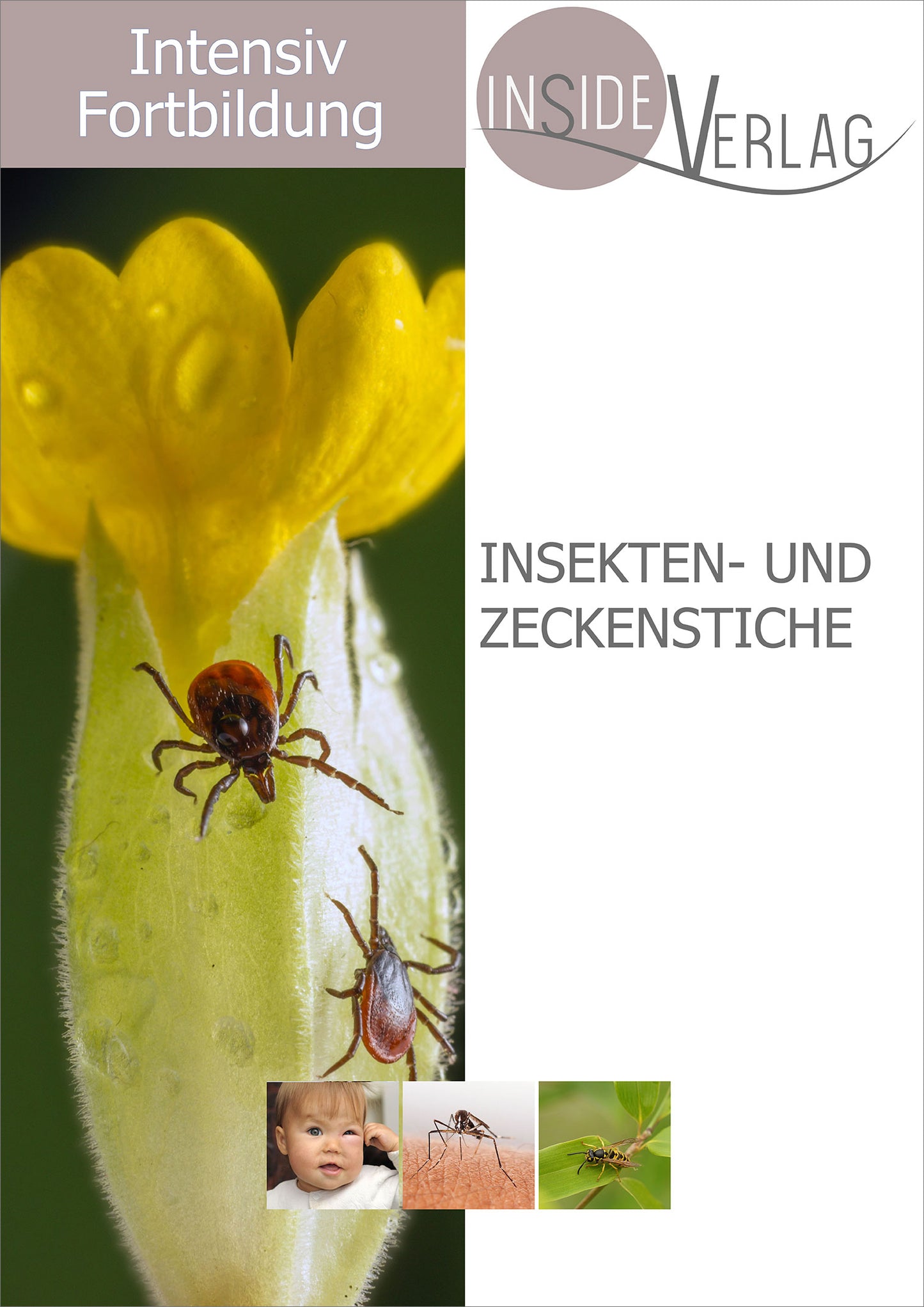 Intensiv-Fortbildung Insekten- und Zeckenstiche